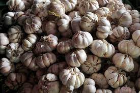 Tapi tak perlu khawatir, ada banyak cara untuk mengakalinya. Harga Bawang Putih Di Jateng Berangsur Turun