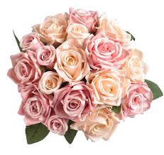 We did not find results for: Furnily Artificial Flowers Decoration Wedding Bridal Bouquet Fake Rose Flowers Artificial Flower Arrangements Party Outside Champagne Pink No Vase Artificial Flowers Amazon Com Au