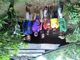 Our website uses cookies to enhance your experience and save your preferences. New Hope For Forests And Families In Indonesia Stories Wwf