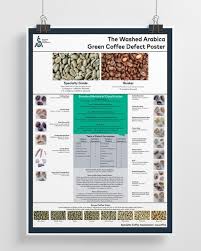 green arabica coffee classification system poster print in