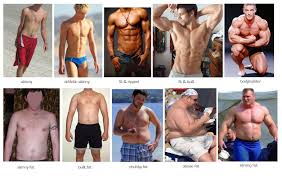 Male Body Types Chart Last Edited By Zodiac 04 28 2013