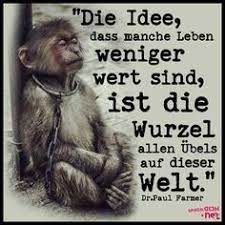 21 Vegetarier Zitate Ideen Vegetarier Zitate Veganer Zitate Vegetarier