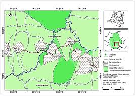 Image result for Eremospatha haullevilleana