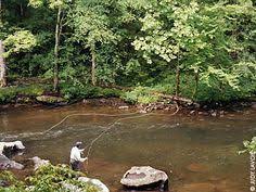 Tellico River Fishing Map 7 Tellico River Ideas | Tellico Plains, River, River Falls