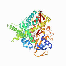 A complete guide to omega: Rcsb Pdb 4fia Crystal Structure Of Human Cyp46a1 P450 With Bicalutamide Bound