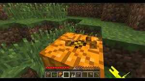What is not straightforward can be some of the ingredients that you will have to acquire. Minecraft How To Make Pumpkin Pie Youtube
