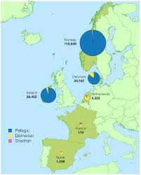 Scottish Sea Fisheries Statistics 2017 Gov Scot