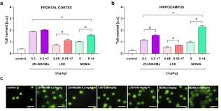 Image result for NBOMe