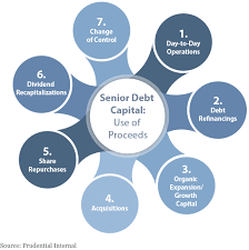 7 Types Of Senior Debt Capital Debt Seniors Capitals