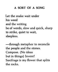 William Carlos Williams Words Poetry Quotes Quotes