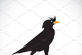 Black And White Cartoon Picture Of Orange Vector Of Anacridotheres Bird In 2020 Illustration Animal Art Vector