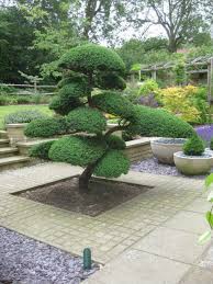 Niwaki Japanese Garden Design Japanese Garden Landscape Japanese Garden Decor