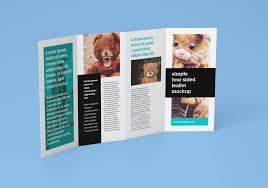 Add photos, icons, and illustrations or switch up the colors to give any design a personal touch. Free Accordion 4 Fold Brochure Leaflet Mockup Psd With 4 Panel Brochure Template Professiona Brochure Template Brochure Template Psd Free Brochure Template