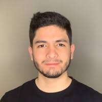 4000+ "Perdomo" profiles