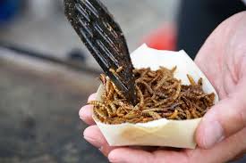 Quelles Regles En Matiere D Utilisation Des Proteines Et Autres Produits Derives D Insectes Ddg