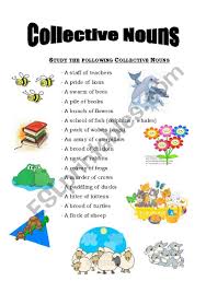 My maternal aunt bought me a pair of tennis shoes. Collective Nouns Esl Worksheet By Nordynour