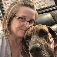 The Last Night in Amsterdam by Melanie Atkinson