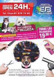 Te lo garantiza hotmart®, la plataforma donde vas a realizar el pago. 62 Ideas De Peluqueria Canina Miky Peluqueria Canina Mascotas Perros