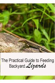 What Do Garden Lizards Eat A Guide To Reptilian Yard Visitors 2021 Lizard Habitat Lizard Backyard Animals