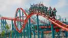 Flamingo land
