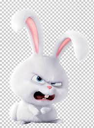 Snowball Domestic Rabbit Dog Pet Png Animals Cuteness Desktop Wallpaper Dog Domestic Rabbit Cute Bunny Cartoon Rabbit Wallpaper Rabbit Illustration