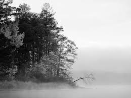 Black And White Nature Wallpaper Hd Foggy Lake Black And White Nature Picture Photo Hd Wallpaper Forest Photography Winter Images Nature Pictures