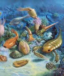 In fact, one fifth of all the 1.5 million species of plants and animals on earth are beetles. Underwater Life During The Paleozoic By Publiphoto In 2021 Prehistoric Creatures Sea Life Art Dinosaur Art