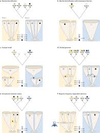 We did not find results for: Population Genomics Of Bacterial Host Adaptation Nature Reviews Genetics