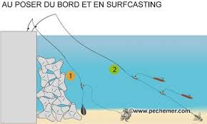 Peche Au Poser Du Bord Surfcasting Digue Peche Peche En Mer Peche Leurre