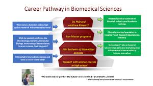 Bachelor Of Biomedical Science Program Bbms Gulf Medical