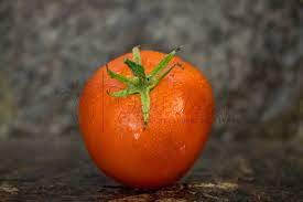 Rotten tomatoes, home of the tomatometer, is the most trusted measurement of quality for movies & tv. Scotia Tomate Vertiloom