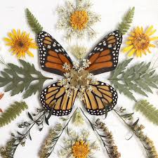Maybe you would like to learn more about one of these? Light Flora Home Facebook