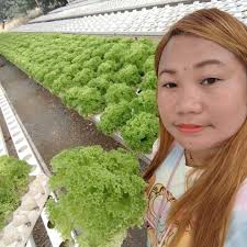 Aquaponics & Hydroponics Growers in the Philippines