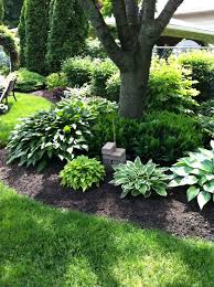Mine Of My Hosta Gardens Front Yard Landscaping Design Garden Landscape Design Rock Garden Landscaping