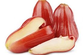 We did not find results for: Jual Berisi 5 Biji Benih Buah Jambu Air Merah Di Lapak Victory Seed Bukalapak