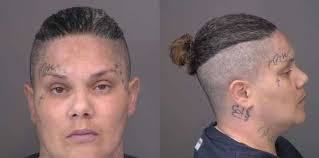 Saline County Jail Bookings, April 20