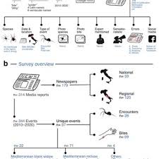 The platformer of the same name devotes us to the difficult relationship of fathers and children in the universe — nightmare (incubo). Pdf Media Representation Of Spiders May Exacerbate Arachnophobic Sentiments By Framing A Distorted Perception Of Risk