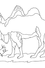 These downloadable 16 desert animal coloring pages are a great way for kids to keep themselves entertained while boosting their creativity and matching skills. Coloring Page For Print A Camel In The Desert