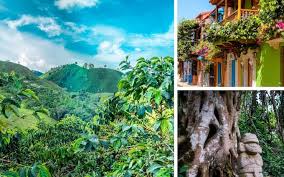 A republic in nw south america: Forget Narcos These Are The Real Reasons You Should Visit Colombia