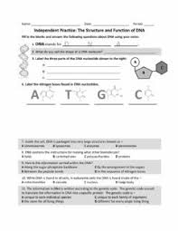 Fifty questions review dna structure, protein synthesis. Dna Replication Worksheet