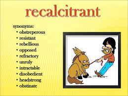Le témoin récalcitrant était le conducteur d'une voiture qui avait heurté des piétons.: Recalcitrant Adjective Ppt Download