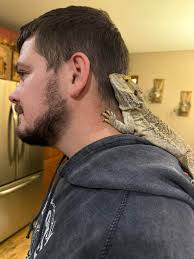 Happy New Year everyone, from Luna!