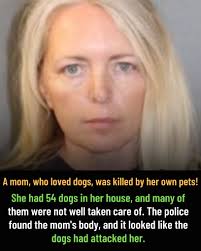 Finding a Home for a Dog in Need in Idaho