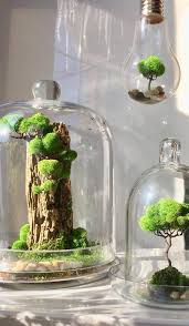 Glass Dome Terrarium Artificial Plant Decoration For Office And Home Moss Tree Bonsai Tree House Artificial Plants Decor Plant Decor Artificial Plant Wall