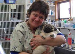Maybe you would like to learn more about one of these? Vet To North Pets Smithers Interior News
