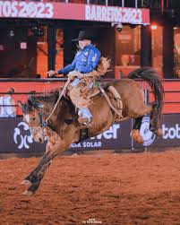 Montarias em cavalos: peão de Mirassol vence segunda