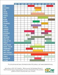 Availability Chart Farmers Market Whats In Season