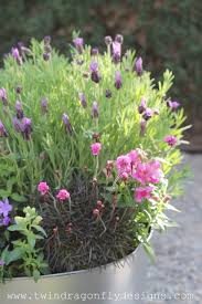 We did not find results for: Create A Bee Friendly Planter Homemade Heather