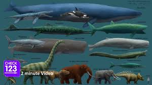 We did not find results for: Check123 On Twitter Which Is The Largest Animal To Ever Exist On Earth Video Https T Co Epo3i46g1e Nature
