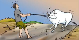 نتیجه جستجوی لغت [pulling] در گوگل